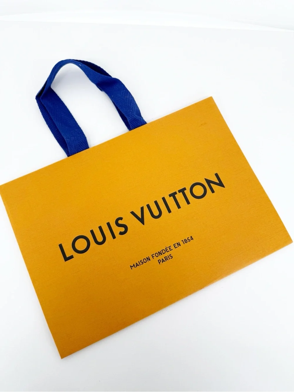 Louis Vuitton Accessory Shopping Bag
